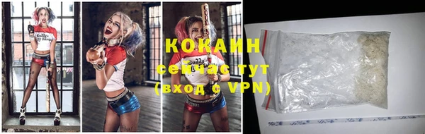бошки Богородицк