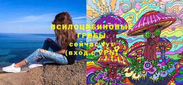 СК Богородск