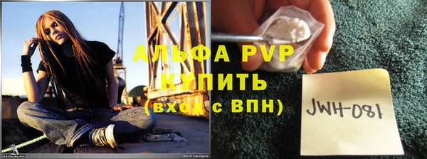 СК Богородск