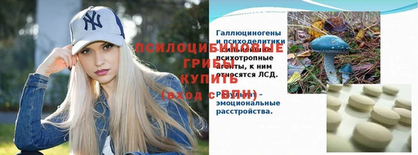 СК Богородск